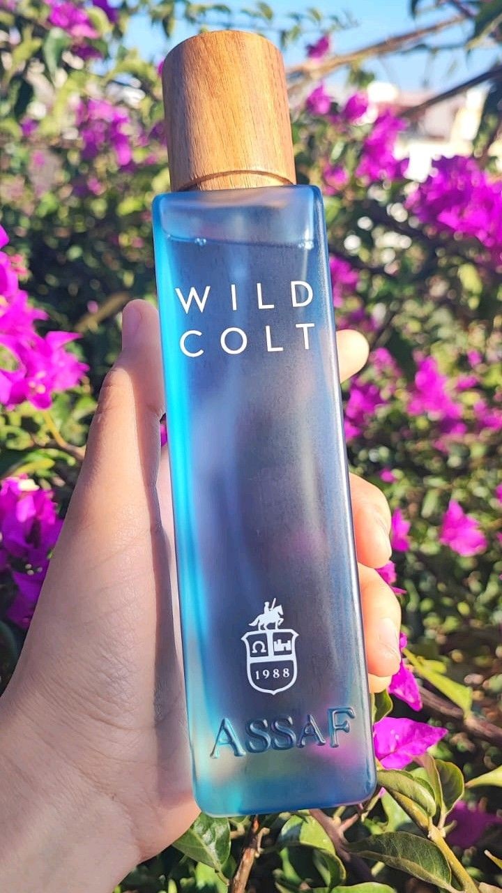 Assaf Wild Colt + Gris Erik
